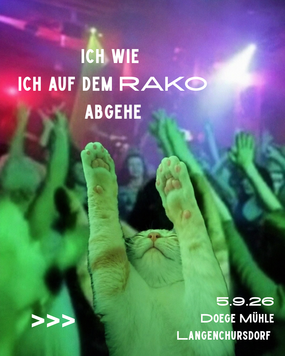 RAKO Meme: Kater tanzt